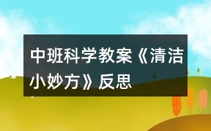 中班科學(xué)教案《清潔小妙方》反思