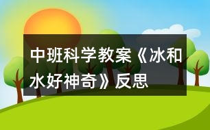 中班科學教案《冰和水好神奇》反思