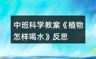 中班科學(xué)教案《植物怎樣喝水》反思