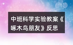 中班科學(xué)實驗教案《啄木鳥朋友》反思