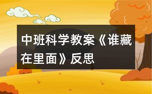 中班科學(xué)教案《誰(shuí)藏在里面》反思