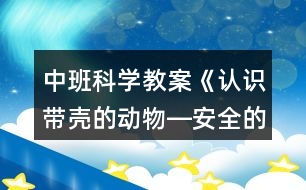 中班科學(xué)教案《認(rèn)識帶殼的動物―安全的家》反思