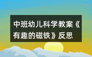 中班幼兒科學(xué)教案《有趣的磁鐵》反思