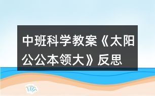 中班科學教案《太陽公公本領大》反思