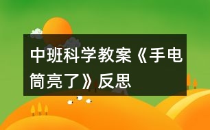 中班科學教案《手電筒亮了》反思