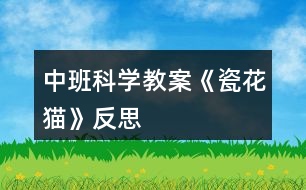 中班科學(xué)教案《瓷花貓》反思