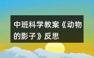 中班科學(xué)教案《動物的影子》反思