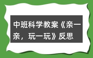 中班科學(xué)教案《親一親，玩一玩》反思