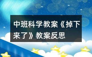 中班科學教案《掉下來了》教案反思