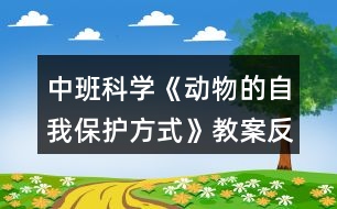 中班科學(xué)《動物的自我保護(hù)方式》教案反思