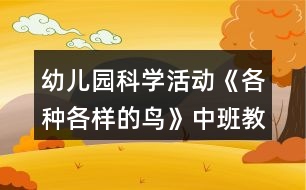 幼兒園科學(xué)活動《各種各樣的鳥》中班教案反思