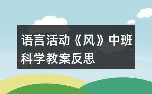 語言活動《風》中班科學教案反思