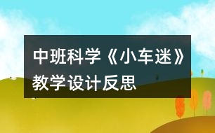 中班科學(xué)《小車迷》教學(xué)設(shè)計反思