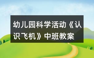 幼兒園科學(xué)活動(dòng)《認(rèn)識(shí)飛機(jī)》中班教案