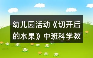 幼兒園活動《切開后的水果》中班科學(xué)教案反思