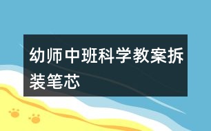 幼師中班科學教案拆裝筆芯