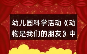 幼兒園科學活動《動物是我們的朋友》中班教案