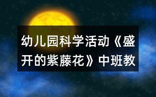 幼兒園科學(xué)活動《盛開的紫藤花》中班教案反思