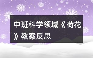 中班科學(xué)領(lǐng)域《荷花》教案反思