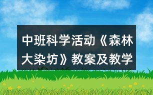 中班科學(xué)活動《森林大染坊》教案及教學(xué)反思