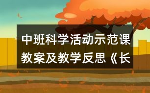 中班科學活動示范課教案及教學反思《長長的面條》