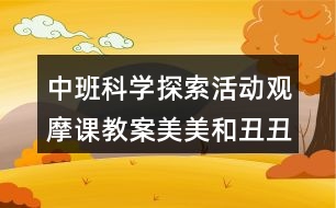 中班科學(xué)探索活動觀摩課教案美美和丑丑反思