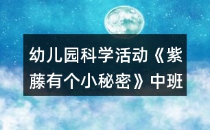 幼兒園科學(xué)活動(dòng)《紫藤有個(gè)小秘密》中班教案反思