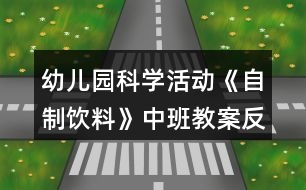 幼兒園科學活動《自制飲料》中班教案反思