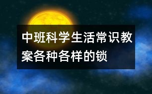 中班科學(xué)生活常識(shí)教案：各種各樣的鎖