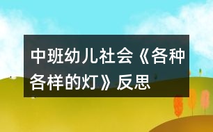 中班幼兒社會(huì)《各種各樣的燈》反思