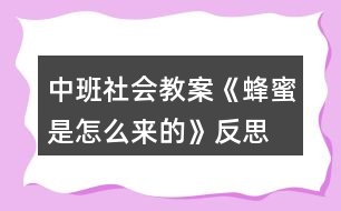 中班社會教案《蜂蜜是怎么來的》反思