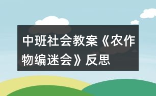 中班社會教案《農(nóng)作物編迷會》反思