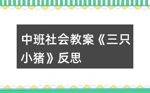 中班社會教案《三只小豬》反思