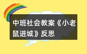 中班社會教案《小老鼠進(jìn)城》反思