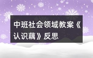 中班社會領域教案《認識藕》反思