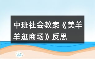 中班社會(huì)教案《美羊羊逛商場(chǎng)》反思