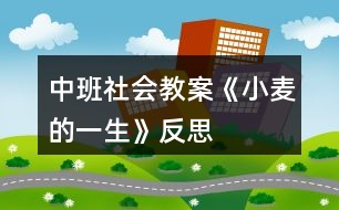 中班社會教案《小麥的一生》反思