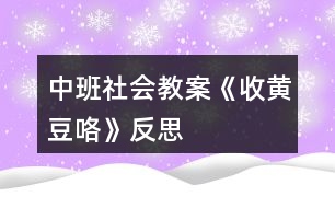 中班社會教案《收黃豆咯》反思