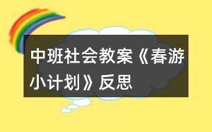 中班社會教案《春游小計劃》反思