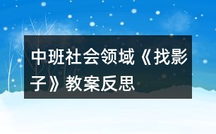 中班社會(huì)領(lǐng)域《找影子》教案反思