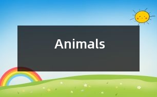 Animals