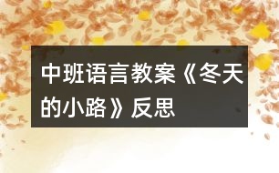 中班語言教案《冬天的小路》反思