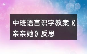 中班語言識字教案《親親她》反思