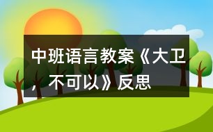 中班語(yǔ)言教案《大衛(wèi)，不可以》反思