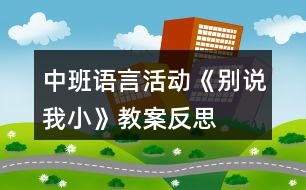 中班語(yǔ)言活動(dòng)《別說我小》教案反思