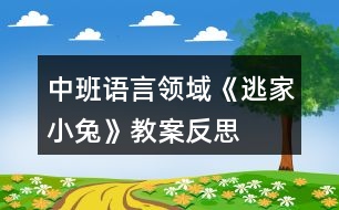 中班語言領(lǐng)域《逃家小兔》教案反思