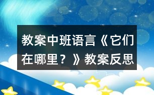 教案中班語言《它們在哪里？》教案反思