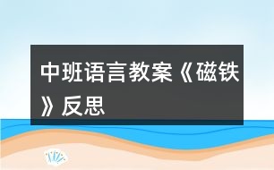 中班語言教案《磁鐵》反思