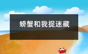 螃蟹和我捉迷藏