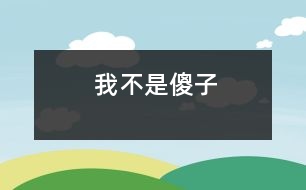 我不是傻子